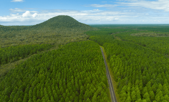 sunshine-coast-surrounds